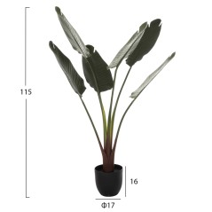 ΔΙΑΚΟΣΜΗΤΙΚΟ ΣΥΝΘΕΤΙΚΟ ΦΥΤΟ FB97969 ΣΤΡΕΛΙΤΣΙΑ ΜΕ ΓΛΑΣΤΡΑ 115Υεκ.