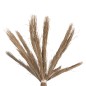 ΔΙΑΚΟΣΜΗΤΙΚΟ ΔΕΝΤΡΟ FB94322 τ.ΦΟΙΝΙΚΑ ΑΠΟ MENDONG GRASS 360Yεκ.