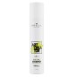 Brelil Art Creator Natural EcoSpray 2 300 ml