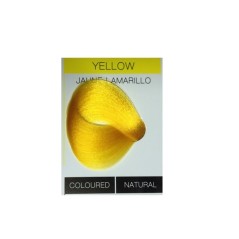 Βαφή μαλλιών Fancy Colour 80 ml.
