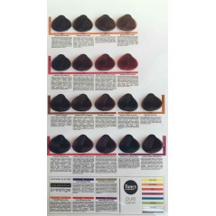 Colorianne Prestige 100ml