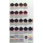 Colorianne Prestige 100ml N° 9.10