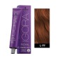 Igora Royal Fashion Lights 60ml N°L-77