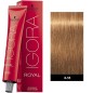 Igora Royal Gold 60ml N°8-55