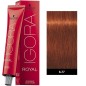 Igora Royal Copper 60ml N°6-77