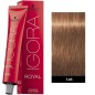 Igora Royal Chocolate 60ml N°7-65