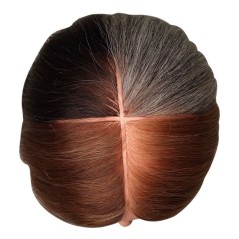 Εκπαιδευτικό κεφάλι κομμωτικής για μαθήματα βαφής