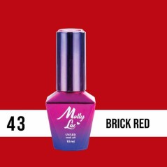 Ημιμόνιμο βερνίκι Molly Lac - Elite Women - Brick Red 10ml N°43