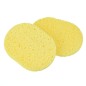 Σφουγγαράκια καθαρισμού 2 τεμ