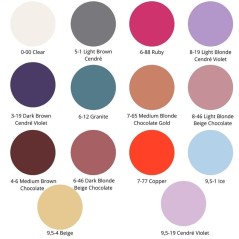 Schwarzkopf Chroma ID Bonding Color Mask Color Chart