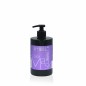 Μάσκα Μαλλιών με Χρώμα Violet 500ml Μάσκα Μαλλιών με Χρώμα Violet 500ml