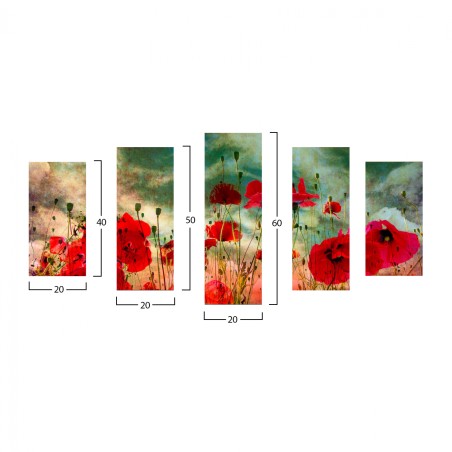 ΠΙΝΑΚΑΣ ΠΕΝΤΑΠΤΥΧΟ MDF POPPY FIELD FB97206.03 100X0,3X60 εκ.