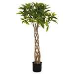 Λουλούδια - Φυτά