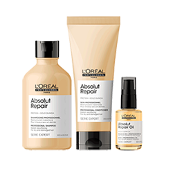 Absolut-Repair-Serie-Expert.png